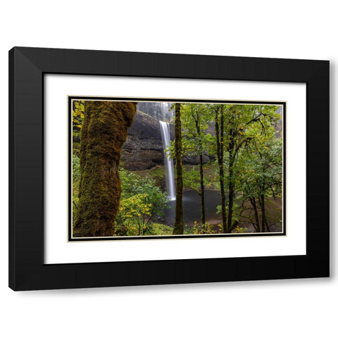 South Falls at Silver Falls State Park near Sublimity-Oregon-USA Black Modern Wood Framed Art Print with Double Matting by Haney, Chuck