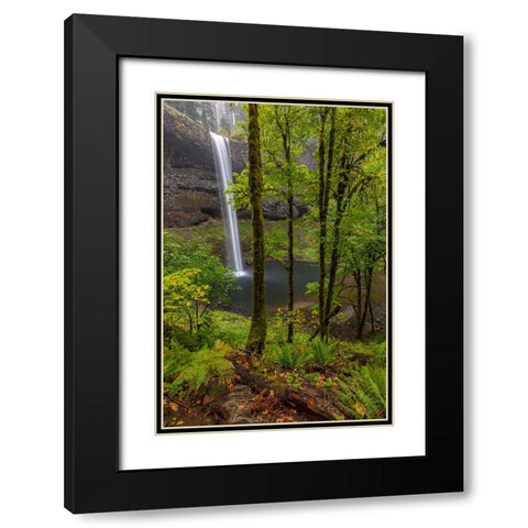 South Falls at Silver Falls State Park near Sublimity-Oregon-USA Black Modern Wood Framed Art Print with Double Matting by Haney, Chuck