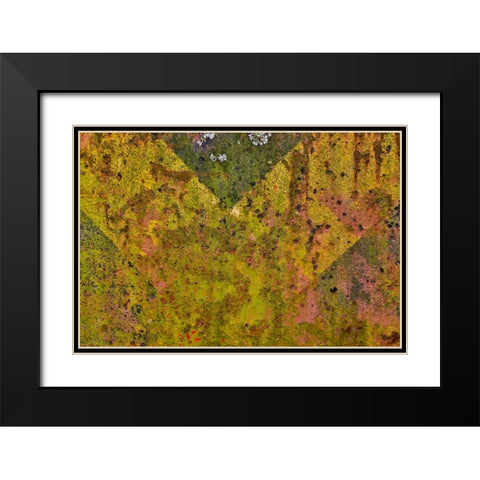 USA- Oregon- Tillamook. Close-up of old and rusted painted front truck bumper Black Modern Wood Framed Art Print with Double Matting by Gulin, Darrell