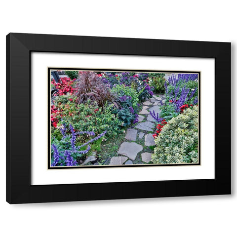 USA- Oregon. Cannon Beach Garden and path with Blue Salvia and reddish geraniums Black Modern Wood Framed Art Print with Double Matting by Gulin, Darrell