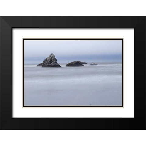 Usa-Oregon-Bandon Bandon Beach Black Modern Wood Framed Art Print with Double Matting by Looney, Hollice