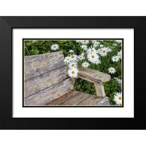Usa-Oregon-Yachats Plantings Black Modern Wood Framed Art Print with Double Matting by Looney, Hollice