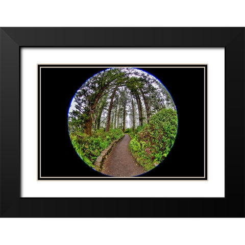 Usa-Oregon-Yachats Cape Perpetua Black Modern Wood Framed Art Print with Double Matting by Looney, Hollice