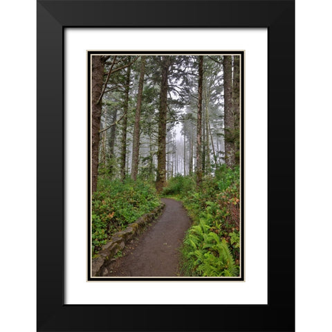 Usa-Oregon-Yachats Cape Perpetua Black Modern Wood Framed Art Print with Double Matting by Looney, Hollice