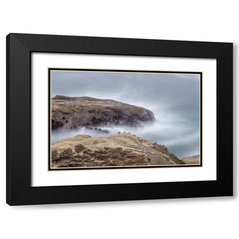 Usa-Oregon-Coos Bay Shore Acres State Park and the Coast Black Modern Wood Framed Art Print with Double Matting by Looney, Hollice