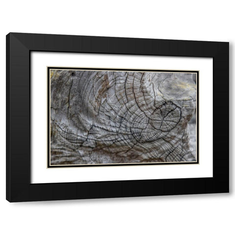 Usa-Oregon-Bandon Bandon Beach-Closeup of Wood on the Beach Black Modern Wood Framed Art Print with Double Matting by Looney, Hollice