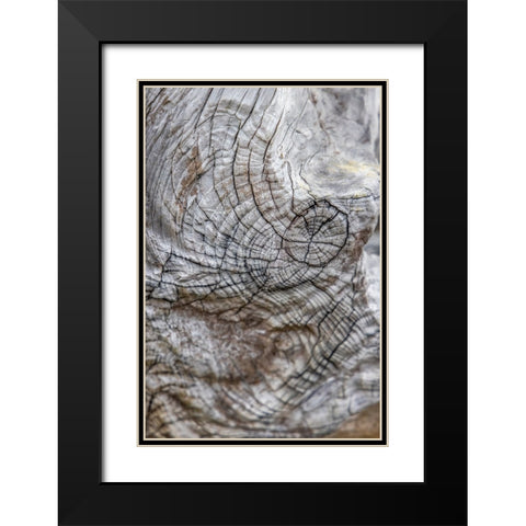 Usa-Oregon-Bandon Bandon Beach-Closeup of Wood on the Beach Black Modern Wood Framed Art Print with Double Matting by Looney, Hollice