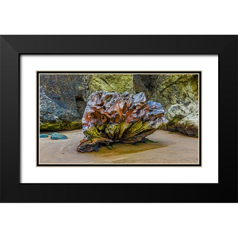 USA-Oregon-Bandon-Beach Black Modern Wood Framed Art Print with Double Matting by Restuccia, Joe III