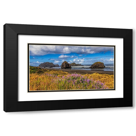 USA-Oregon-Cape Sebastian Black Modern Wood Framed Art Print with Double Matting by Restuccia, Joe III