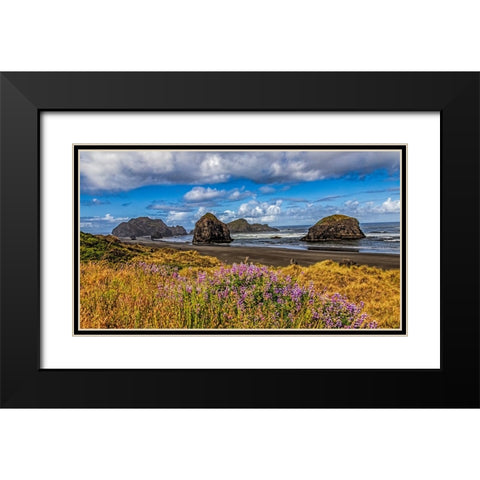USA-Oregon-Cape Sebastian Black Modern Wood Framed Art Print with Double Matting by Restuccia, Joe III