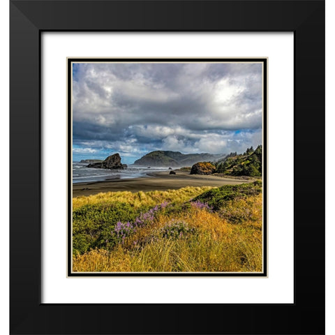 USA-Oregon-Cape Sebastian Black Modern Wood Framed Art Print with Double Matting by Restuccia, Joe III