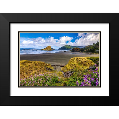 USA-Oregon-Cape Sebastian Black Modern Wood Framed Art Print with Double Matting by Restuccia, Joe III