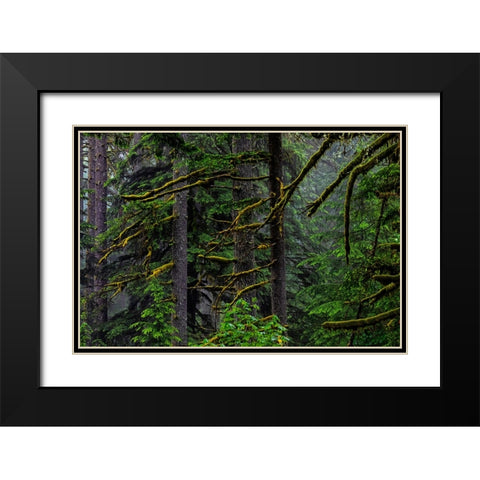 USA-Oregon-Silver Falls State Park Black Modern Wood Framed Art Print with Double Matting by Restuccia, Joe III