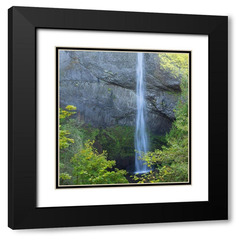 OR-Columbia River Gorge National Scenic Area-Latourell Falls Black Modern Wood Framed Art Print with Double Matting by Wild, Jamie and Judy