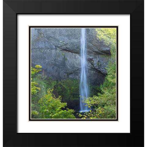 OR-Columbia River Gorge National Scenic Area-Latourell Falls Black Modern Wood Framed Art Print with Double Matting by Wild, Jamie and Judy