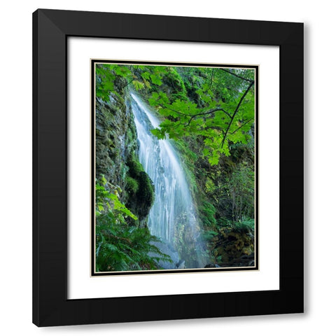 Oregon-Columbia River Gorge National Scenic Area-Lancaster Falls Black Modern Wood Framed Art Print with Double Matting by Wild, Jamie and Judy