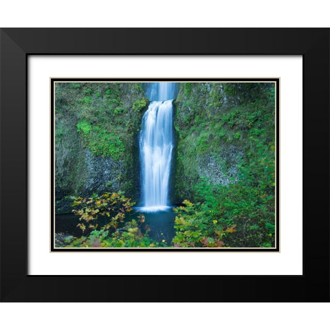 Oregon-Columbia River Gorge National Scenic Area-Multnomah Falls-lower Black Modern Wood Framed Art Print with Double Matting by Wild, Jamie and Judy