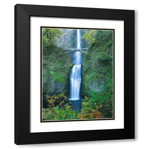 Oregon-Columbia River Gorge National Scenic Area-Multnomah Falls Black Modern Wood Framed Art Print with Double Matting by Wild, Jamie and Judy