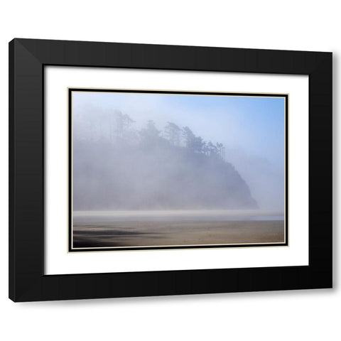 Oregon-Hug Point Morning fog Black Modern Wood Framed Art Print with Double Matting by Wild, Jamie and Judy