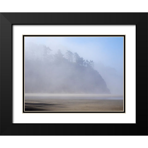 Oregon-Hug Point Morning fog Black Modern Wood Framed Art Print with Double Matting by Wild, Jamie and Judy