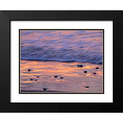 Oregon-Cape Arch-Pacific ocean evening light on surf Black Modern Wood Framed Art Print with Double Matting by Gulin, Sylvia