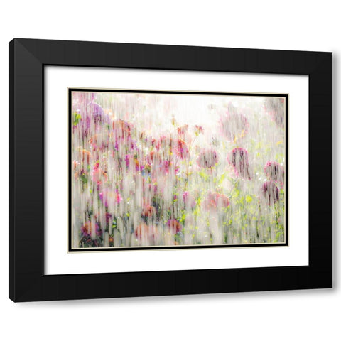 Oregon-Canby-Swam Island Dahlias-water coming down on flowers Black Modern Wood Framed Art Print with Double Matting by Gulin, Sylvia