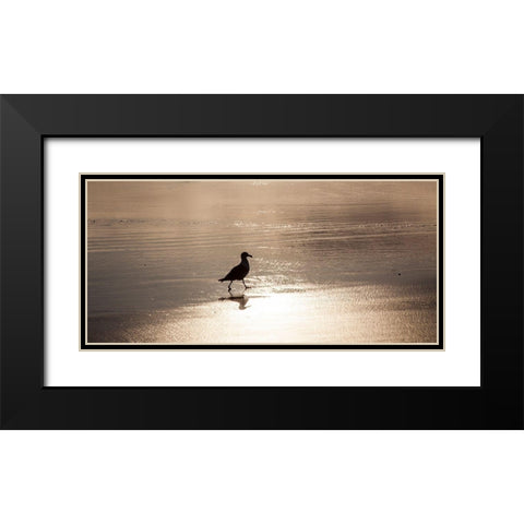 Oregon Cannon Beach with seagull reflection in the sand at sunset Black Modern Wood Framed Art Print with Double Matting by Gulin, Sylvia