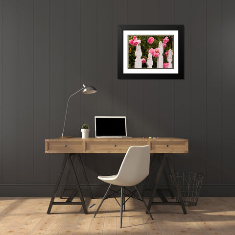 Oregon-Cannon Beach with gardens and white picket fences and pink roses Black Modern Wood Framed Art Print with Double Matting by Gulin, Sylvia