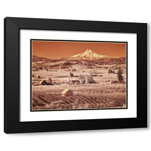 USA-Oregon-Columbia Gorge Infrared of spring orchards in bloom and Mount Hood Black Modern Wood Framed Art Print with Double Matting by Eggers, Terry