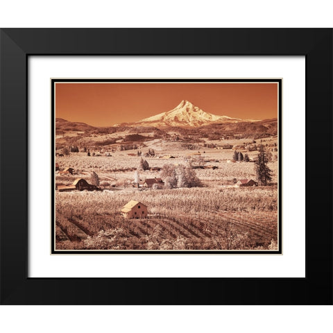 USA-Oregon-Columbia Gorge Infrared of spring orchards in bloom and Mount Hood Black Modern Wood Framed Art Print with Double Matting by Eggers, Terry
