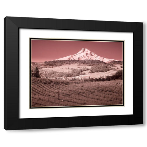 USA-Oregon-Columbia Gorge Infrared of spring orchards in bloom and Mount Hood Black Modern Wood Framed Art Print with Double Matting by Eggers, Terry