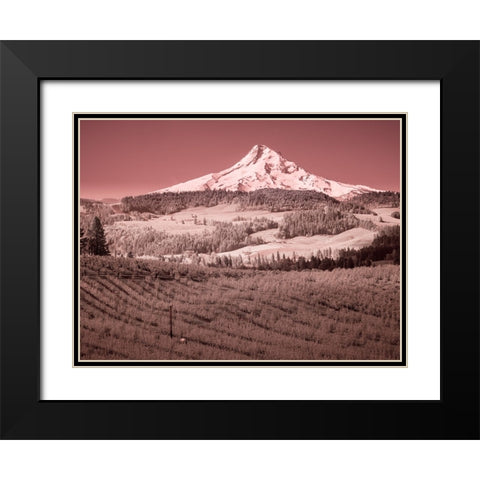 USA-Oregon-Columbia Gorge Infrared of spring orchards in bloom and Mount Hood Black Modern Wood Framed Art Print with Double Matting by Eggers, Terry