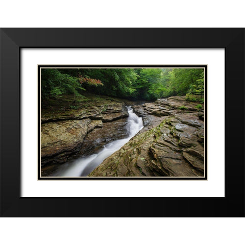 Natural Waterslides on Meadow Run Ohiopyle State Park-Pennsylvania Black Modern Wood Framed Art Print with Double Matting by Majchrowicz, Alan
