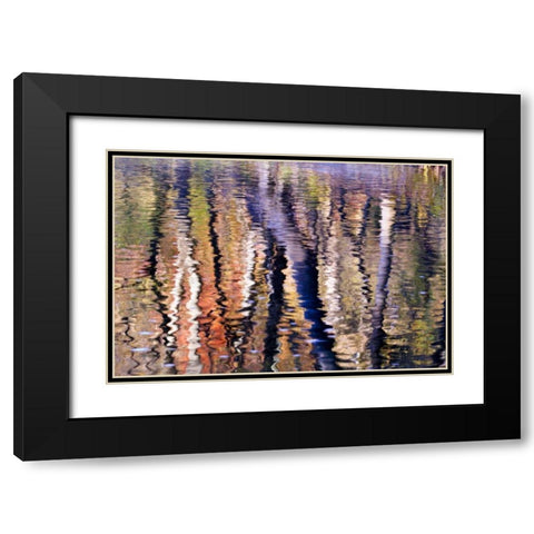 PA, Philadelphia Autumn trees by Pennypack Creek Black Modern Wood Framed Art Print with Double Matting by OBrien, Jay