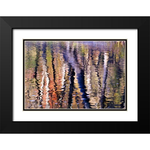 PA, Philadelphia Autumn trees by Pennypack Creek Black Modern Wood Framed Art Print with Double Matting by OBrien, Jay