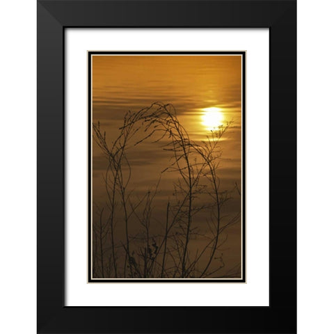 PA, Philadelphia, Sunset reflection on lake Black Modern Wood Framed Art Print with Double Matting by OBrien, Jay