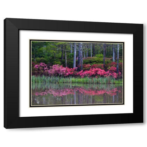 GA, Impressionistic trees and flowering bushes Black Modern Wood Framed Art Print with Double Matting by Rotenberg, Nancy
