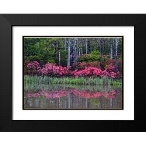 GA, Impressionistic trees and flowering bushes Black Modern Wood Framed Art Print with Double Matting by Rotenberg, Nancy