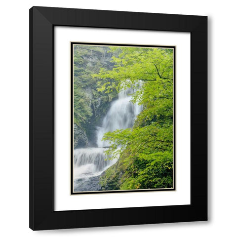 PA, Dingmans Ferry, Dingmans Ferry Falls Black Modern Wood Framed Art Print with Double Matting by OBrien, Jay