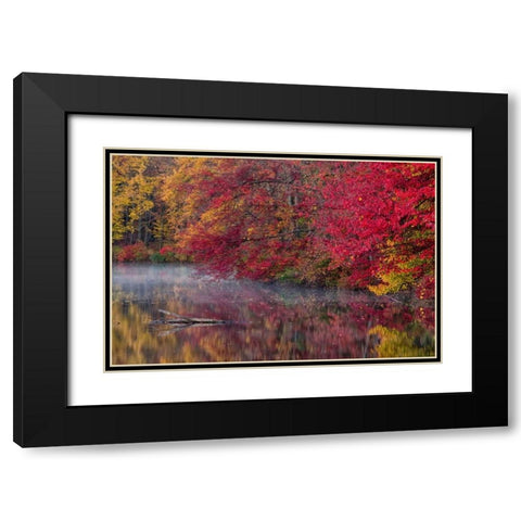 PA, Hidden Lake Trees in autumn reflect in lake Black Modern Wood Framed Art Print with Double Matting by OBrien, Jay
