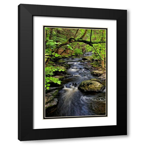 PA, Dingmans Ferry, Childs Park Dingmans Creek Black Modern Wood Framed Art Print with Double Matting by OBrien, Jay