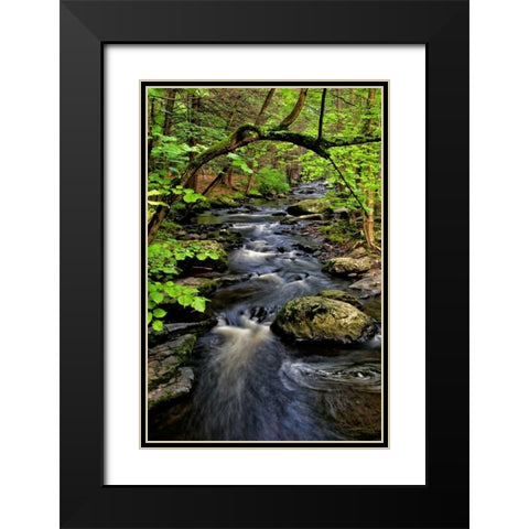 PA, Dingmans Ferry, Childs Park Dingmans Creek Black Modern Wood Framed Art Print with Double Matting by OBrien, Jay