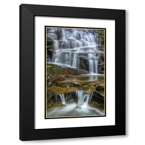 Pennsylvania Waterfall in Ricketts Glen SP Black Modern Wood Framed Art Print with Double Matting by OBrien, Jay