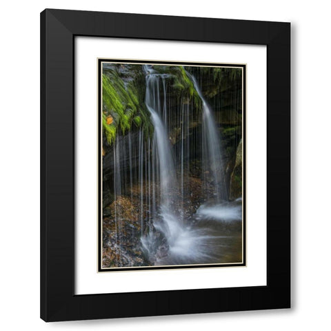 Pennsylvania Waterfall in Ricketts Glen SP Black Modern Wood Framed Art Print with Double Matting by OBrien, Jay