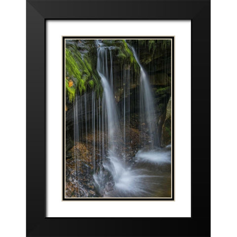 Pennsylvania Waterfall in Ricketts Glen SP Black Modern Wood Framed Art Print with Double Matting by OBrien, Jay