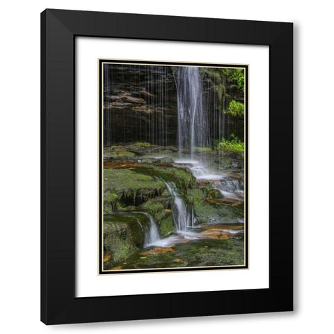Pennsylvania Waterfall in Ricketts Glen SP Black Modern Wood Framed Art Print with Double Matting by OBrien, Jay