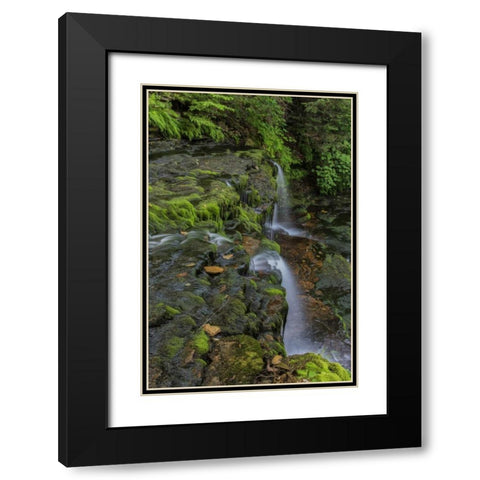 Pennsylvania, Ricketts Glen SP Flowing stream Black Modern Wood Framed Art Print with Double Matting by OBrien, Jay