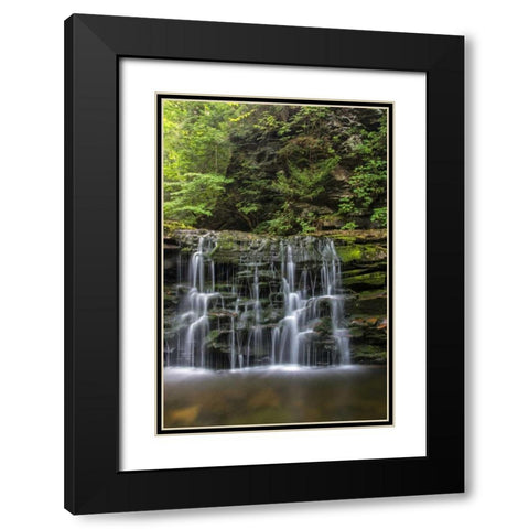 Pennsylvania Waterfall in Ricketts Glen SP Black Modern Wood Framed Art Print with Double Matting by OBrien, Jay