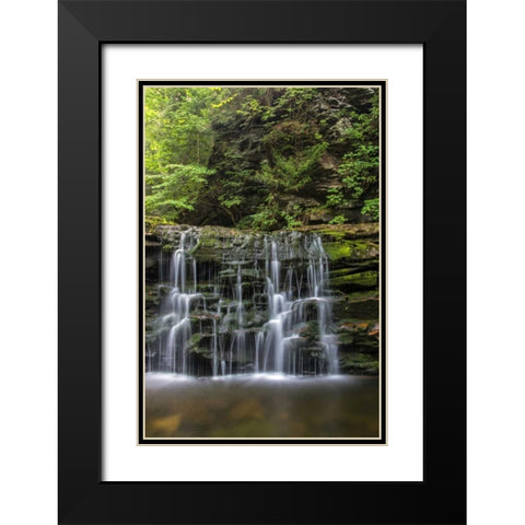 Pennsylvania Waterfall in Ricketts Glen SP Black Modern Wood Framed Art Print with Double Matting by OBrien, Jay