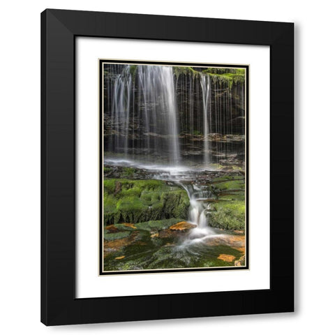 Pennsylvania Waterfall in Ricketts Glen SP Black Modern Wood Framed Art Print with Double Matting by OBrien, Jay